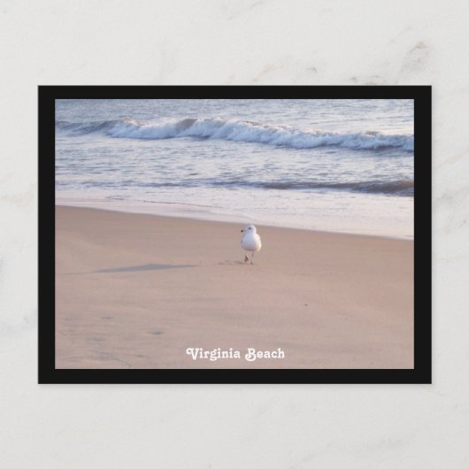 Virginia Beach Postkarte (Vorderseite)