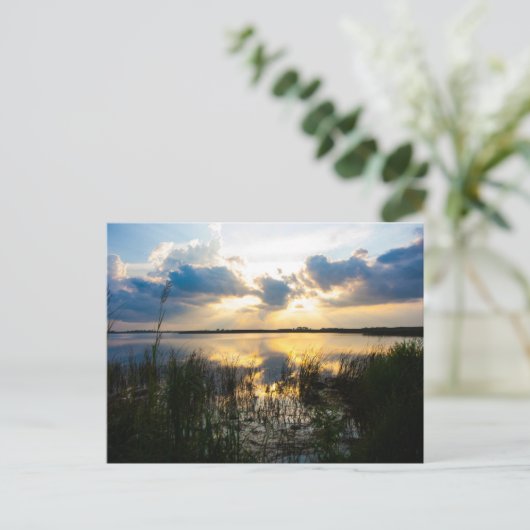 Virginia Beach Sunset Postkarte (Stehend Vorderseite)