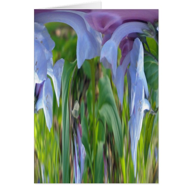 Virginia Bluebells Abstrakt (Vorne)