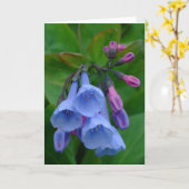 Virginia Bluebells, Card Karte (Gelbe Blume)