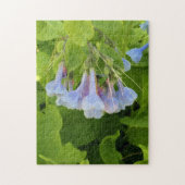 Virginia Bluebells Puzzle (Vertikal)