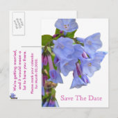 Virginia Bluebells Save the Date Ankündigungspostkarte (Vorne/Hinten)