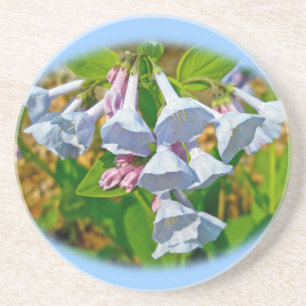Virginia Bluebells Wildblume Getränkeuntersetzer