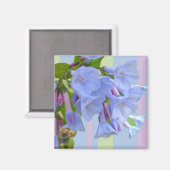 Virginia Bluebells Wildblume Magnet (Vorderseite/Rückseite)