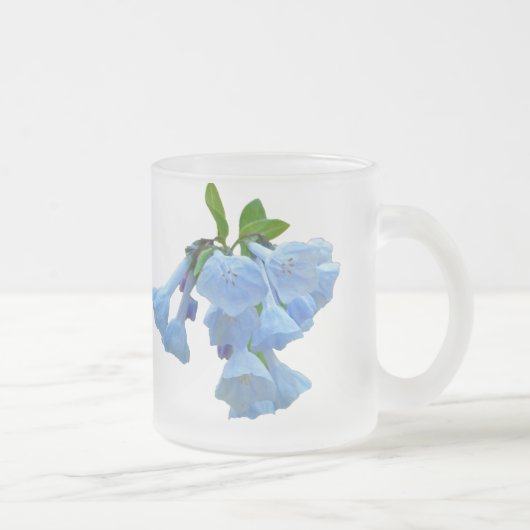 Virginia Bluebells Wildblume Mattglastasse (Rechts)