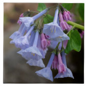Virginia Bluebells Wildblume Tile Fliese (Vorderseite)