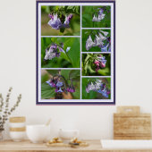 Virginia Bluebells Wildblumen Poster (Küche)