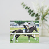 Virginia Derby Gewinner "War Dancer" Postkarte (Stehend Vorderseite)