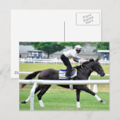 Virginia Derby Gewinner "War Dancer" Postkarte (Vorne/Hinten)