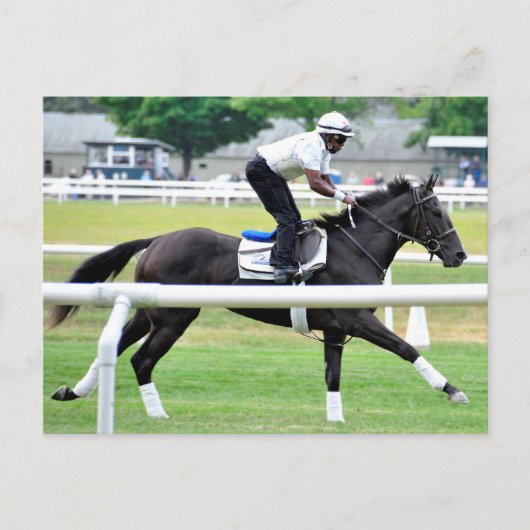 Virginia Derby Gewinner "War Dancer" Postkarte (Vorderseite)