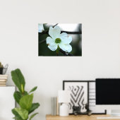 Virginia Dogwood Blossom Tear Drop Poster (Heimbüro)