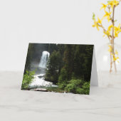 Virginia Falls at Glacier National Park Karte (Gelbe Blume)