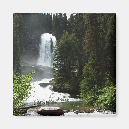 Virginia Falls at Glacier National Park Magnet (Vorne)