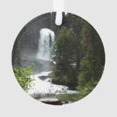 Virginia Falls at Glacier National Park Ornament (Rückseite)