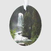 Virginia Falls at Glacier National Park Ornament (Vorderseite)
