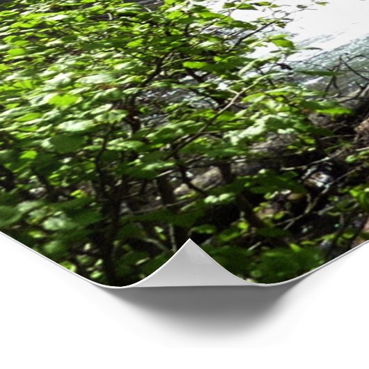 Virginia Falls at Glacier National Park Poster (Ecke)