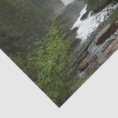 Virginia Falls at Glacier National Park Seidenpapier (Ausschnitt)