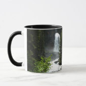 Virginia Falls at Glacier National Park Tasse (Links)