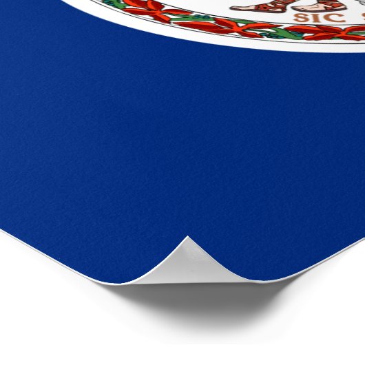 Virginia Flag Poster (Ecke)
