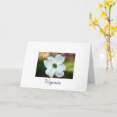 Virginia-Hartriegel Karte (Gelbe Blume)