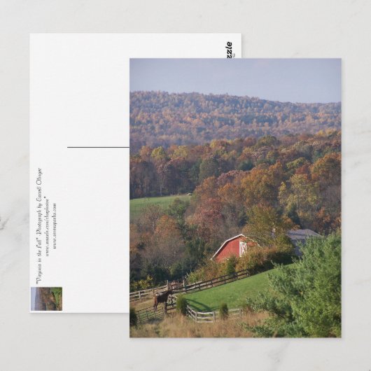 Virginia im Herbst Postkarte (Vorne/Hinten)