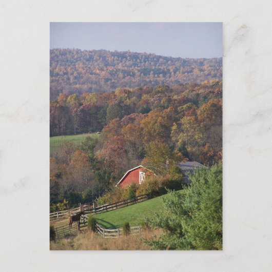 Virginia im Herbst Postkarte (Vorderseite)
