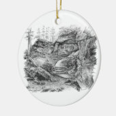 Virginia Kendall Ledges Trail (CVNP) Keramik Ornament (Links)