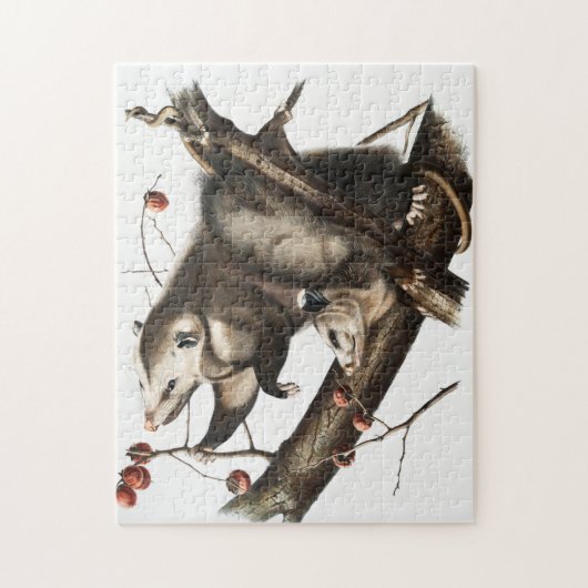 Virginia Opossum Didelphis Virginia Illustration Puzzle (Vertikal)