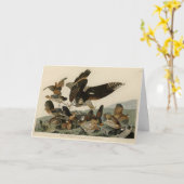 Virginia Partridge, Audubons Vögel von Amerika Karte (Gelbe Blume)