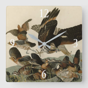 Virginia Partridge, Audubons Vögel von Amerika Quadratische Wanduhr