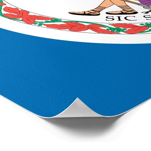 VIRGINIA POSTER (Ecke)