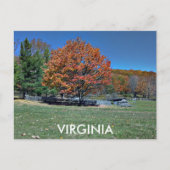 VIRGINIA POSTKARTE (Vorderseite)