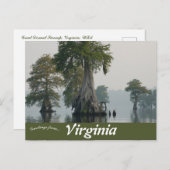 Virginia Postkarte (Vorne/Hinten)
