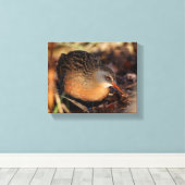 Virginia Rail im Unterbüro Leinwanddruck (Insitu (Holzboden))