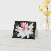 Virginia-Rhododendron Karte (Gelbe Blume)