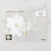 Virginia Staat Blume: Dogwood Postkarte (Rückseite)