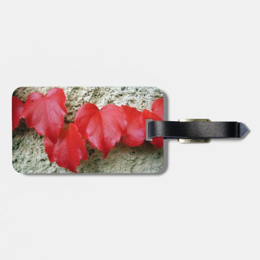 Virginia Strampler Blätter Gepäckmarke Gepäckanhänger (Rückseite horizontal)