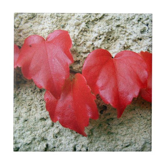 Virginia Strampler Blätter Keramik Tile Fliese (Vorderseite)