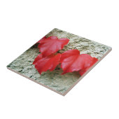 Virginia Strampler Blätter Keramik Tile Fliese (Seite)
