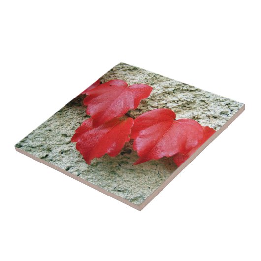 Virginia Strampler Blätter Keramik Tile Fliese (Seite)