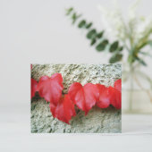 Virginia Strampler Blätter Postkarte (Stehend Vorderseite)