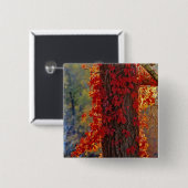 Virginia-Strampler im Herbst strahlend rot Button (Vorne & Hinten)