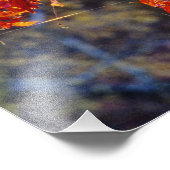 Virginia Strampler leuchtend rot im Herbst Fotodruck (Ecke)