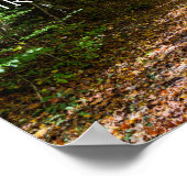 Virginia Strampler Trail Poster (Ecke)