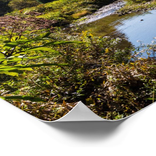 Virginia Strampler Trail Poster (Ecke)