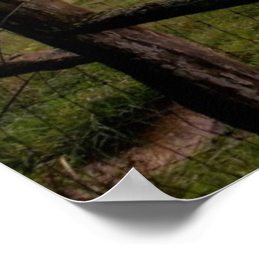 Virginia Sunset Poster (Ecke)