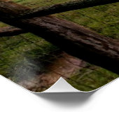 Virginia Sunset Poster (Ecke)