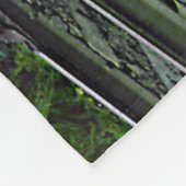 Virginia & Truckee 22 Dampfzug Motor Fleecedecke (Ecke)