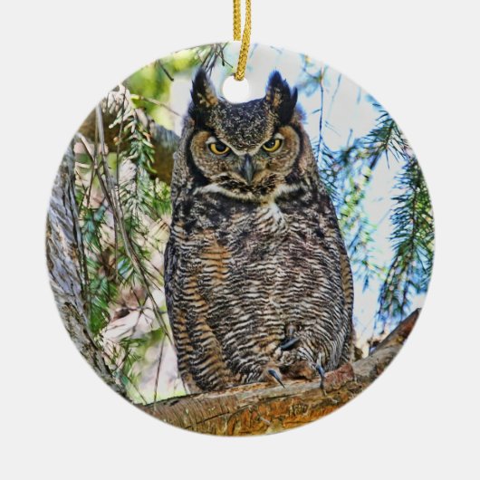 Virginia-Uhu-Anstarren Keramikornament (Vorne)