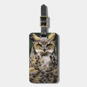 Virginia-Uhu (Bubo virginianus), ganzer Körper Gepäckanhänger